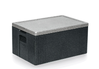 Insulated Transport Container, GN 1/1