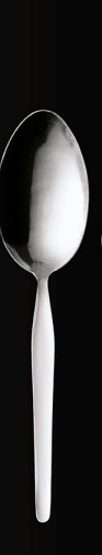 Vegetable Serving Spoon, Chrome Steel, 220 mm