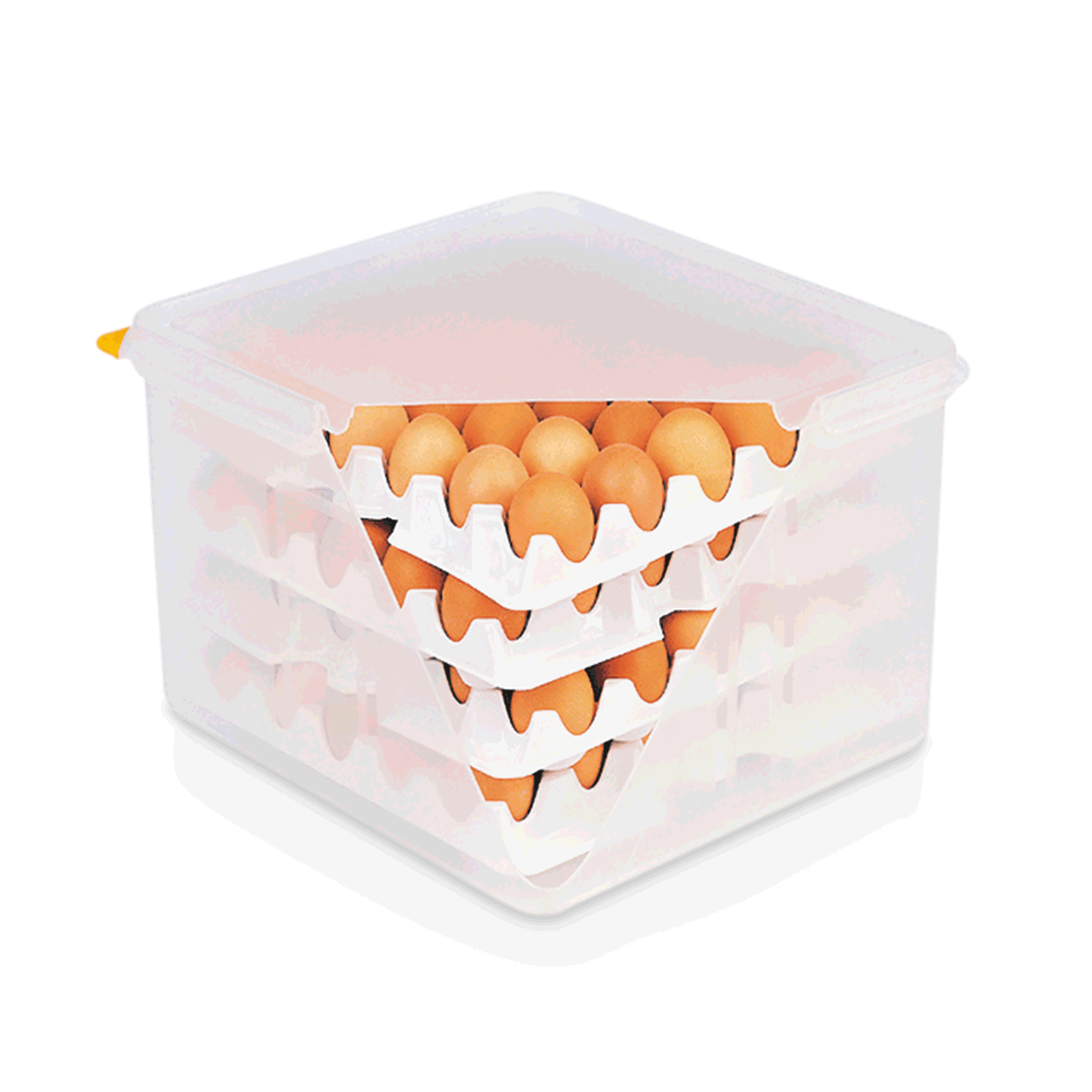 Was HACCP Egg Box, GN 2/3, 120 Eggs