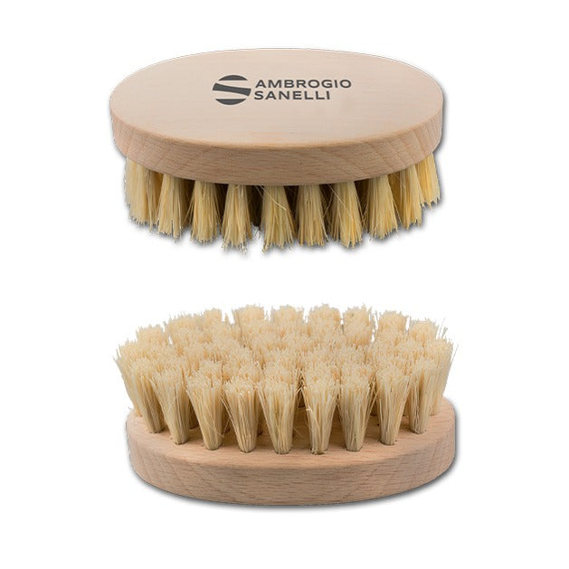 Sanelli Ambrogio Truffle Brush A1767000, FSC Beech Wood, product photo