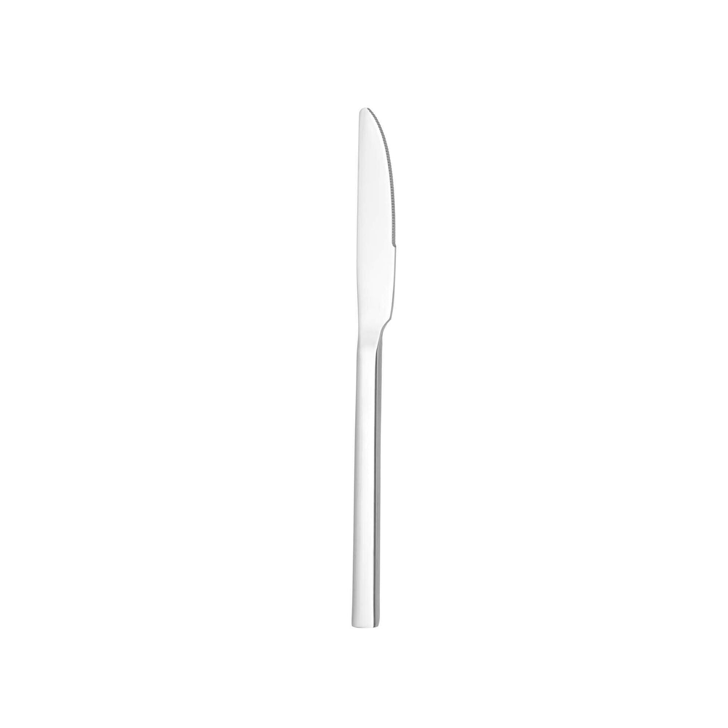 OVE Bergen Table Knife, 226 mm, 18/0 Steel