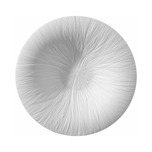 Fiord pasta plate
