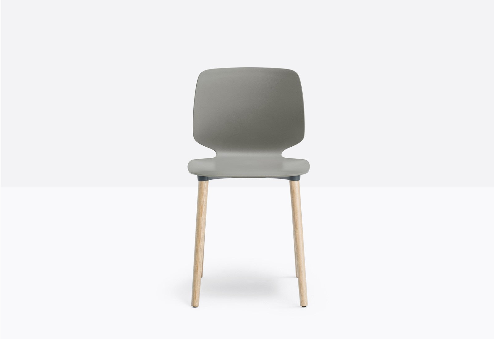 Babila Dining Chair, Ash Legs, Technopolymer Shell