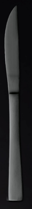 Hamburg Fresh Steak Knife, 210 mm, Chrome Steel