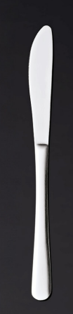 NIA Dinner Knife, Chrome Steel, 230 mm