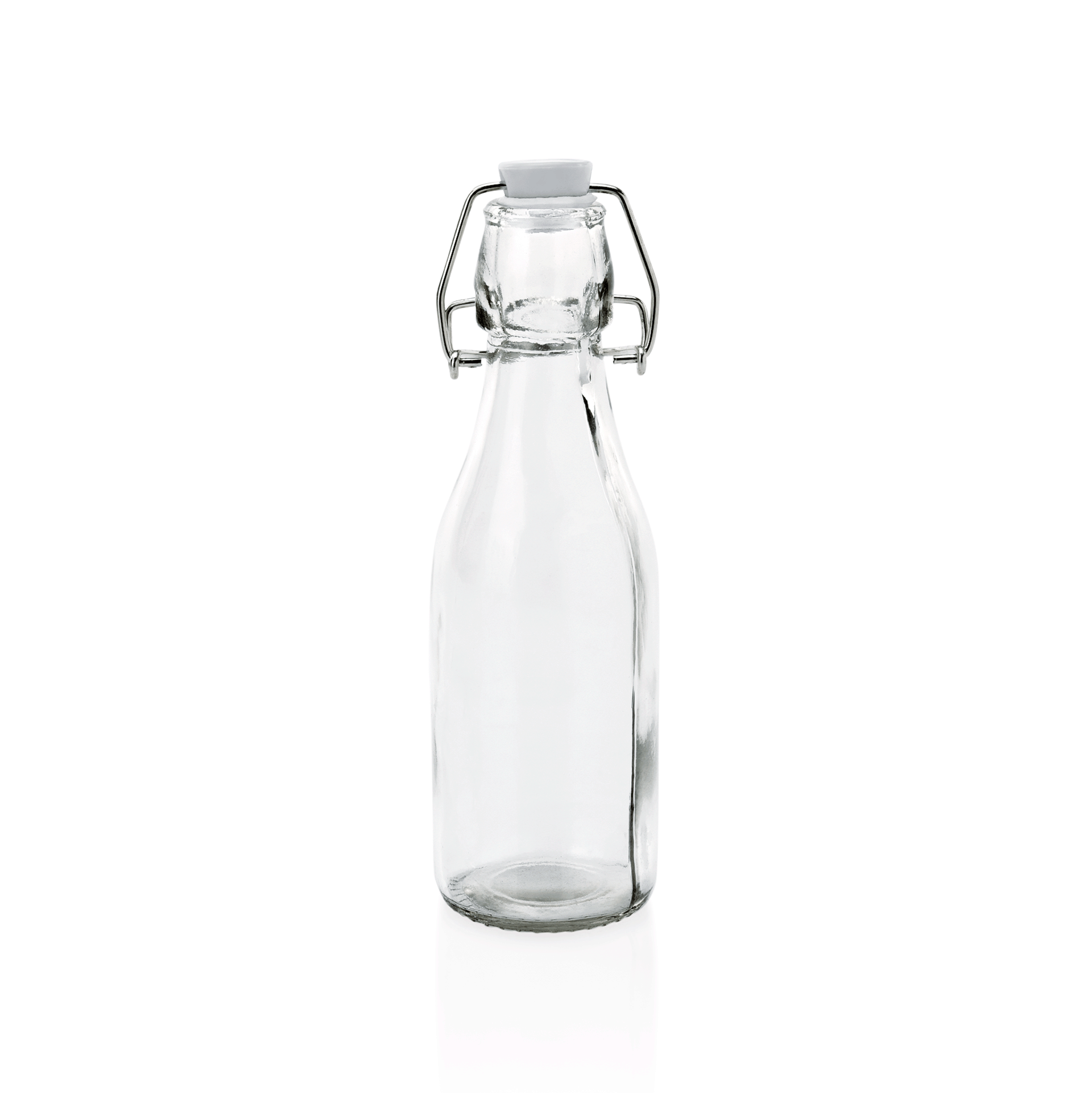 Was Swingtop Bottle Set, Set of 6, Ø55 mm