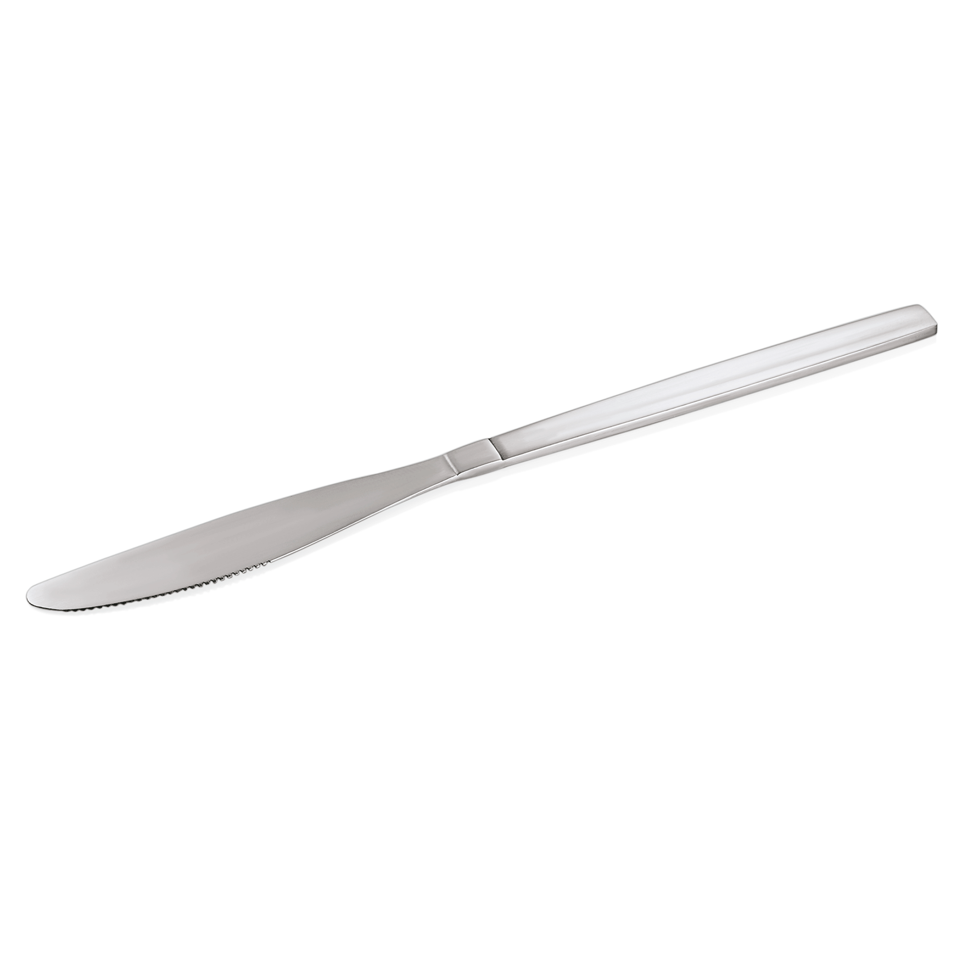 Was NP80 Eco Dinner Knife, Set of 12