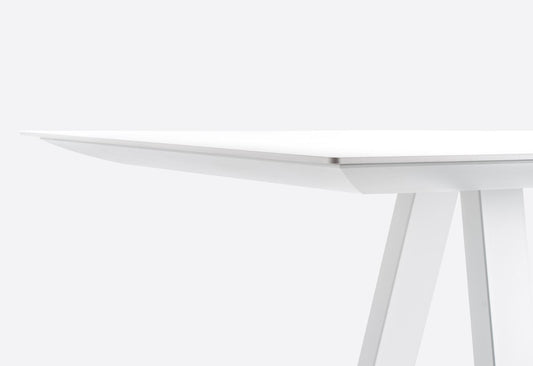 Pedrali Dining Table Arki ARK300X100, 3000×1000 mm