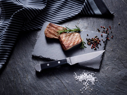 Was Steak Knife Set, POM Plastic Handle, 263 mm, Set of 6