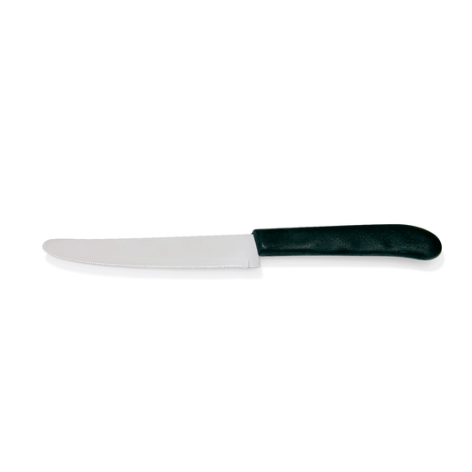 Was Steak Knife Set, Plastic Handle, 220 mm, Set of 6