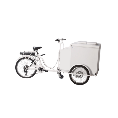 Fricon Ice Cream Trike MBC 125 Bike, 110 L