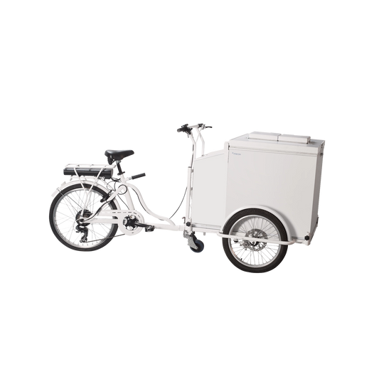 Fricon Ice Cream Trike MBC 125 Bike, 110 L