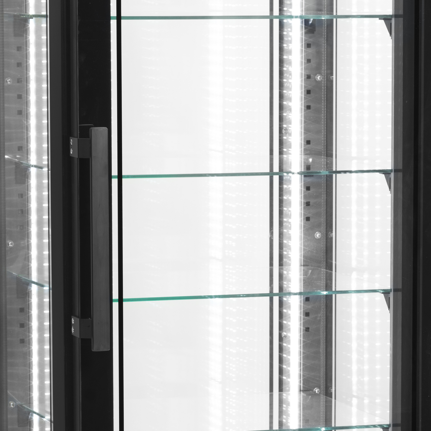 Refrigerated Display Case (Freezing), 248L, -22/-18°C