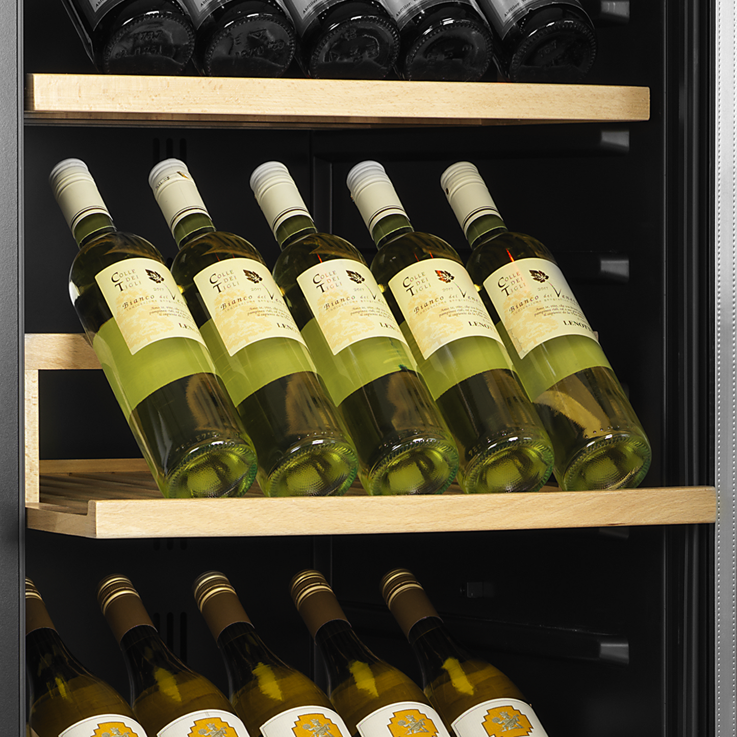 Wine Cooler, 350L, +5/'+10 / +10°C