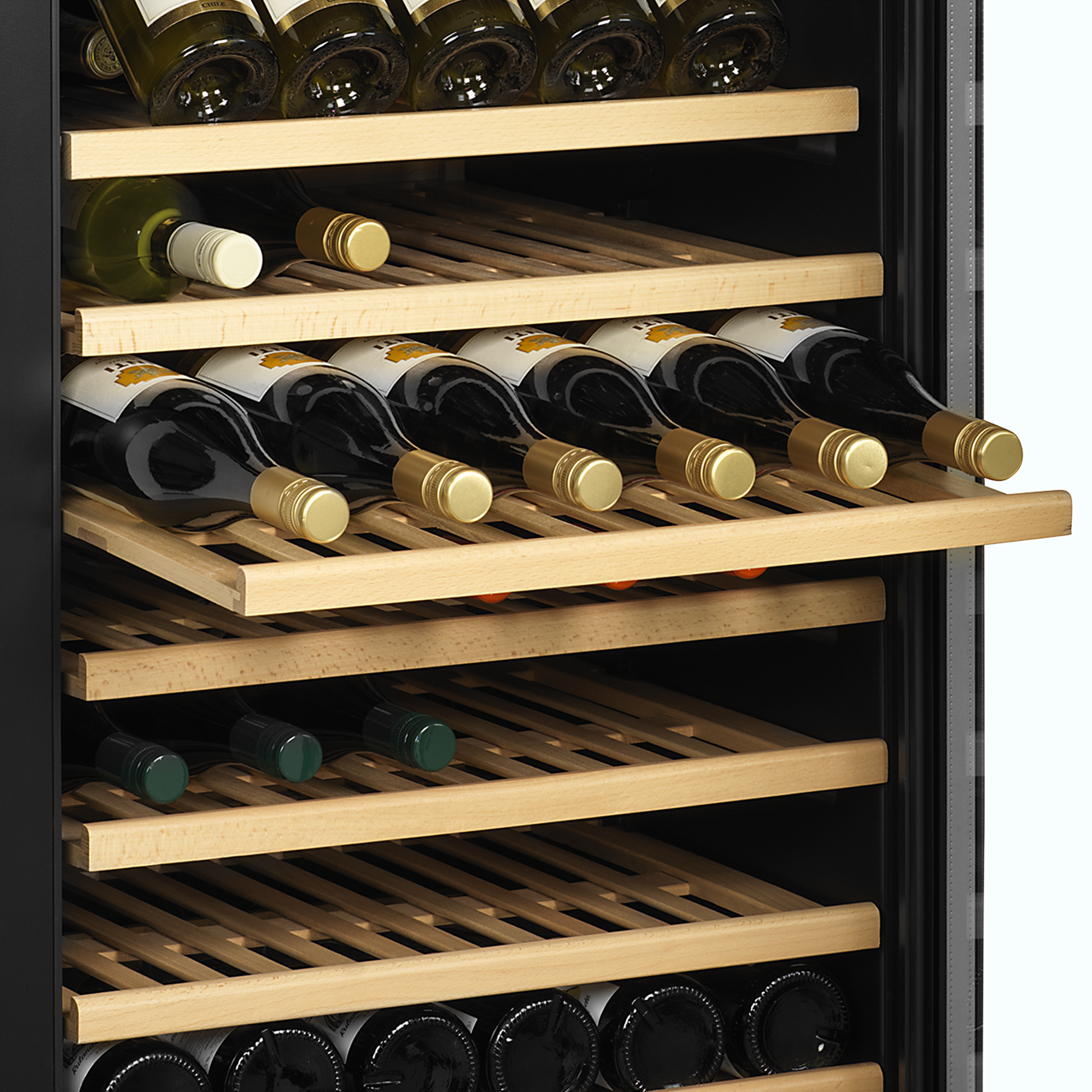 Wine Cooler, 350L, +5/+18°C