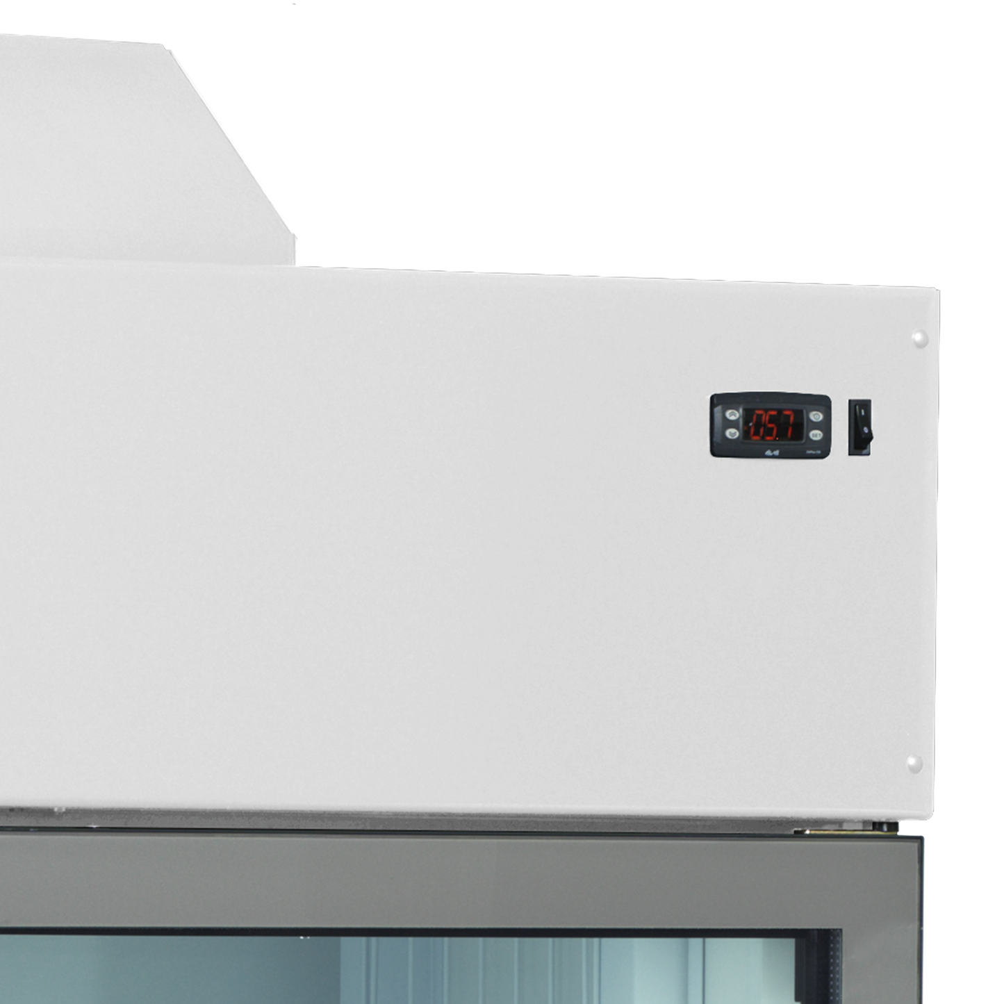 Wall Freezer/Cooler, 650L, -24/'-18 / -1°C