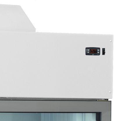 Wall Freezer/Cooler, 545L, -24/'-18 / -1°C
