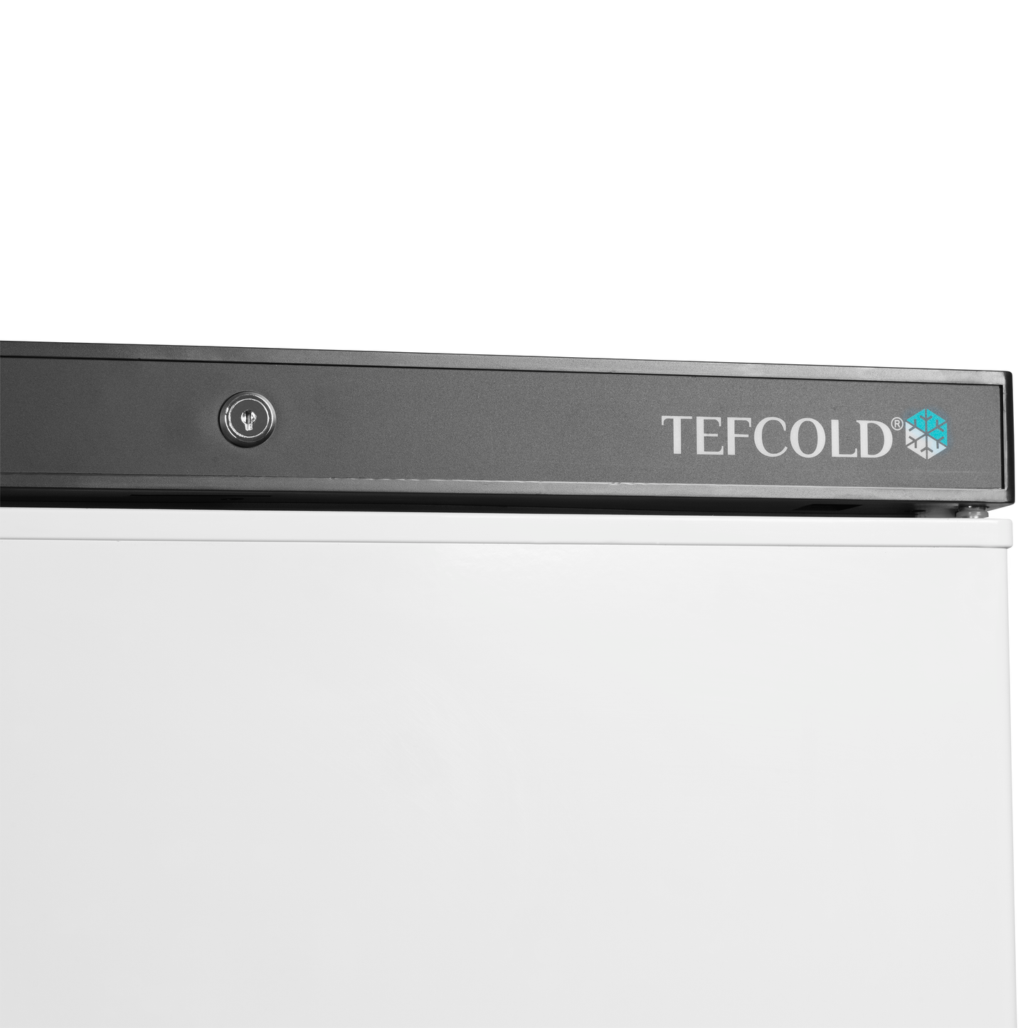 Storage Freezer, 340L, -24/-10°C