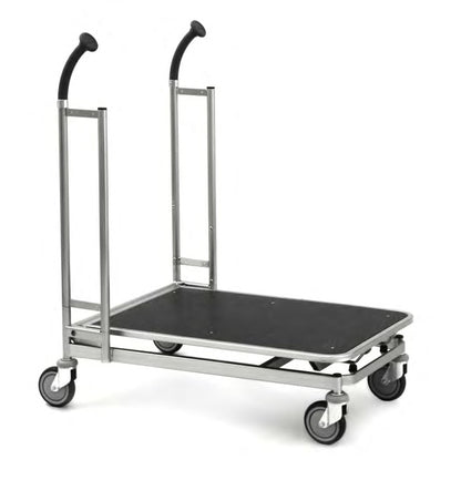 Damix Transport Trolley Carry 80, 300 kg — front three-quarter view