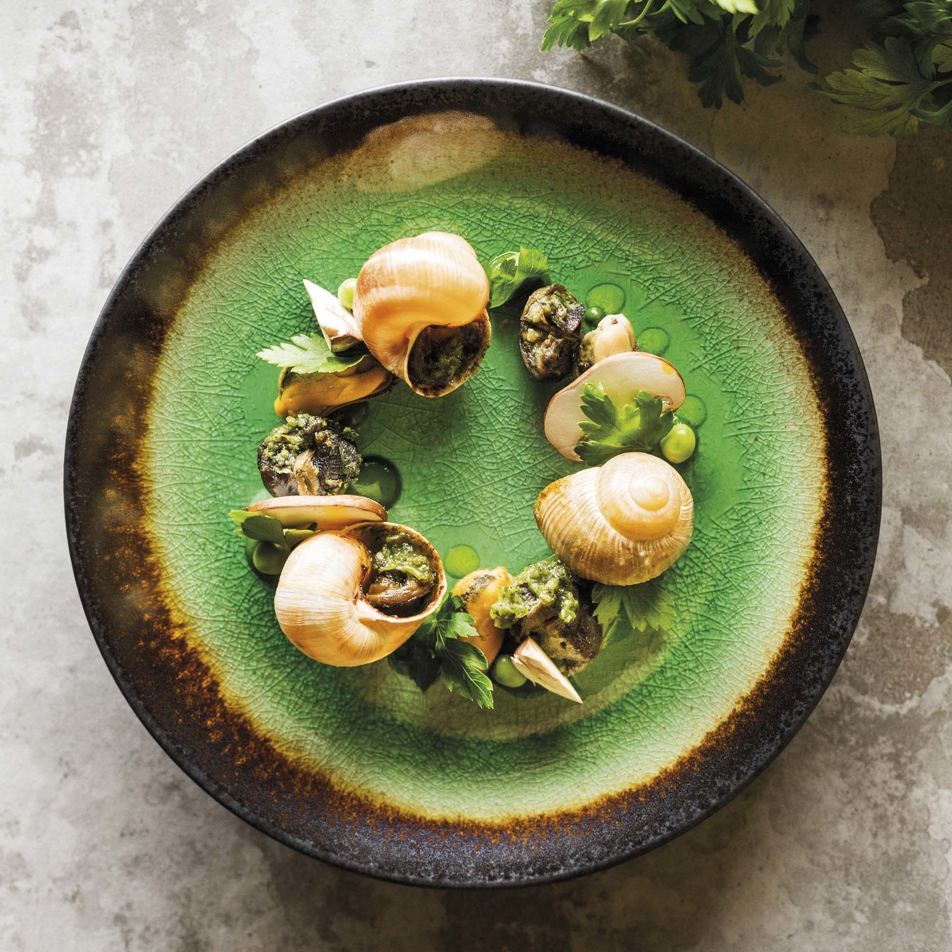 deep plate