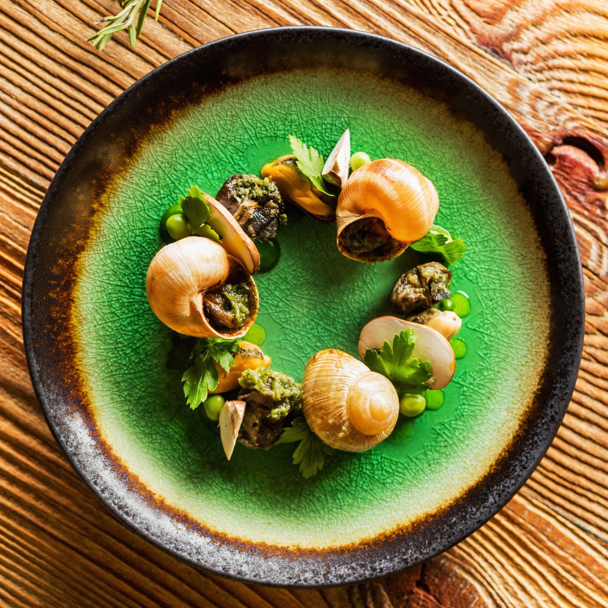 deep plate
