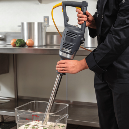 BigRig Immersion Blender