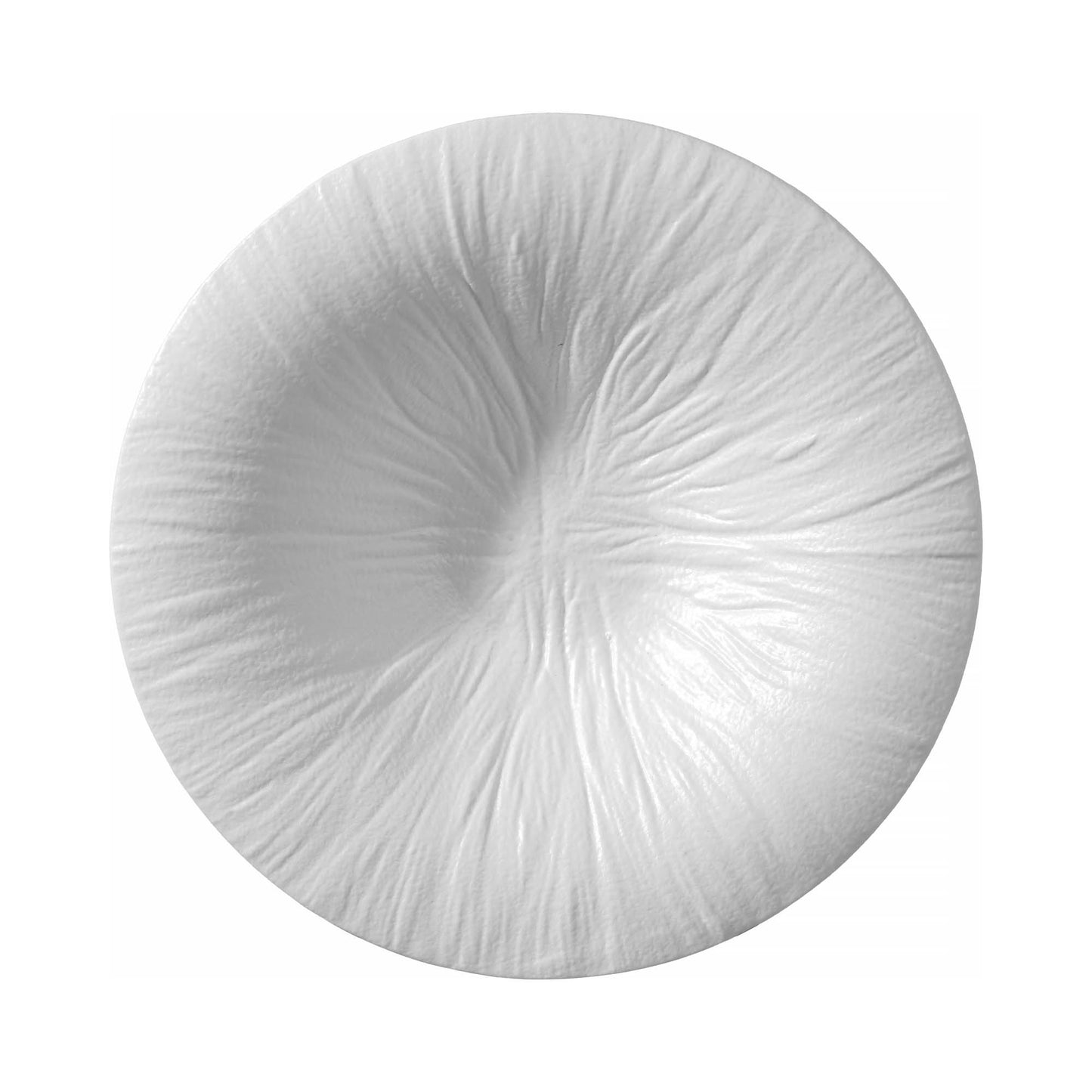 Fiord pasta plate