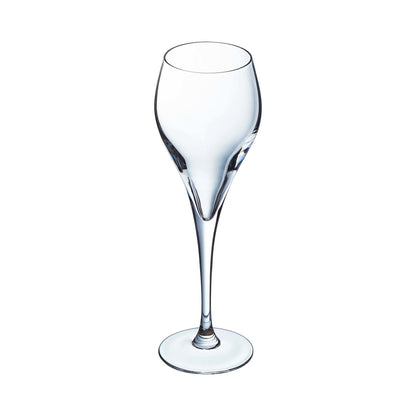 Brio Flute champagne glass, 160ml