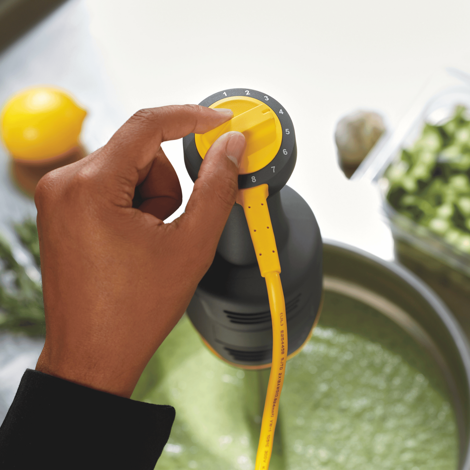 BigRig hand blender HMI009-CE, 230mm