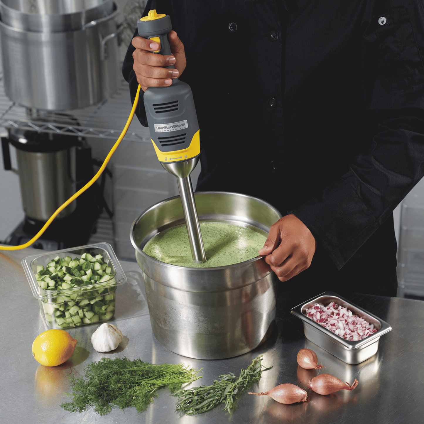 BigRig hand blender HMI009-CE, 230mm