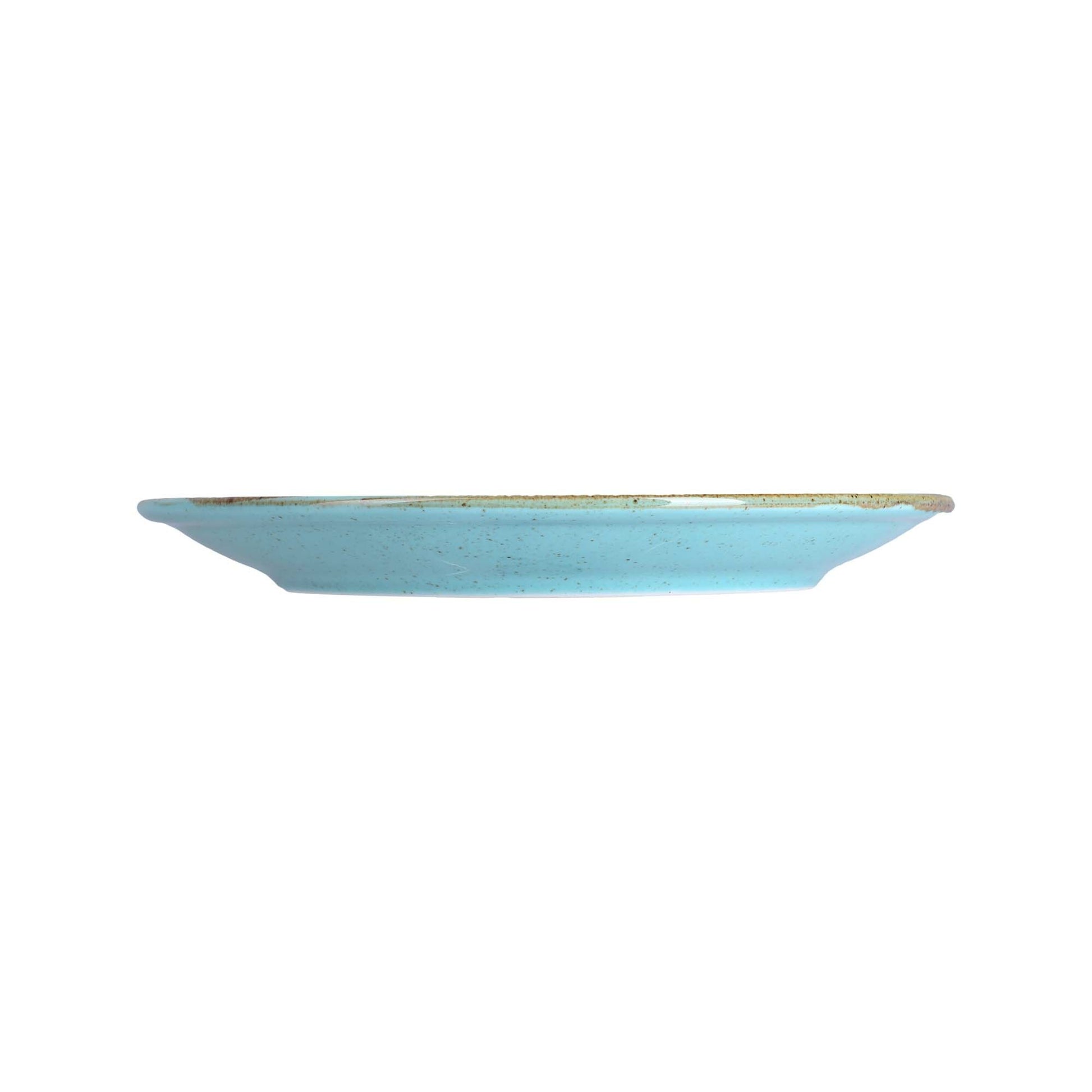 Flat Plate Laguna, 200mm