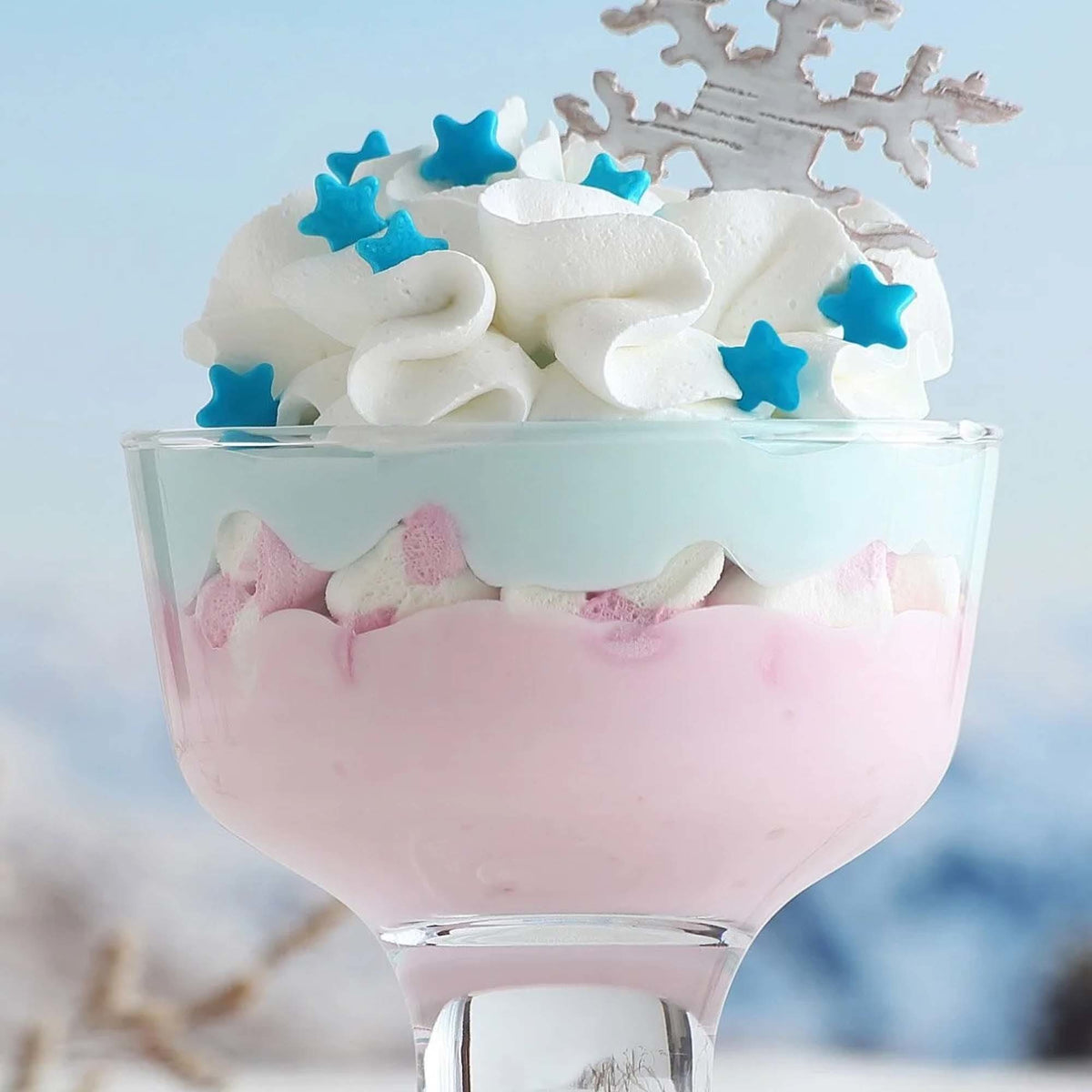 Santiago ice cream & dessert cup 285 ml, LAV