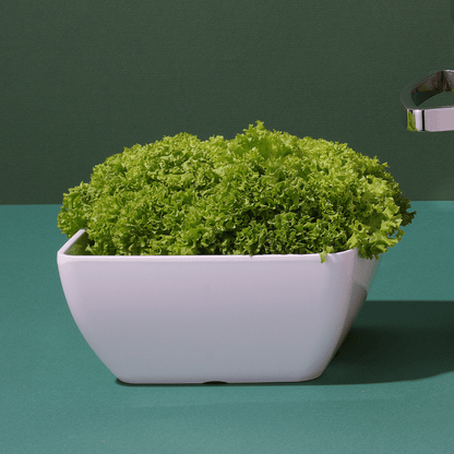 Metro melamine square bowl