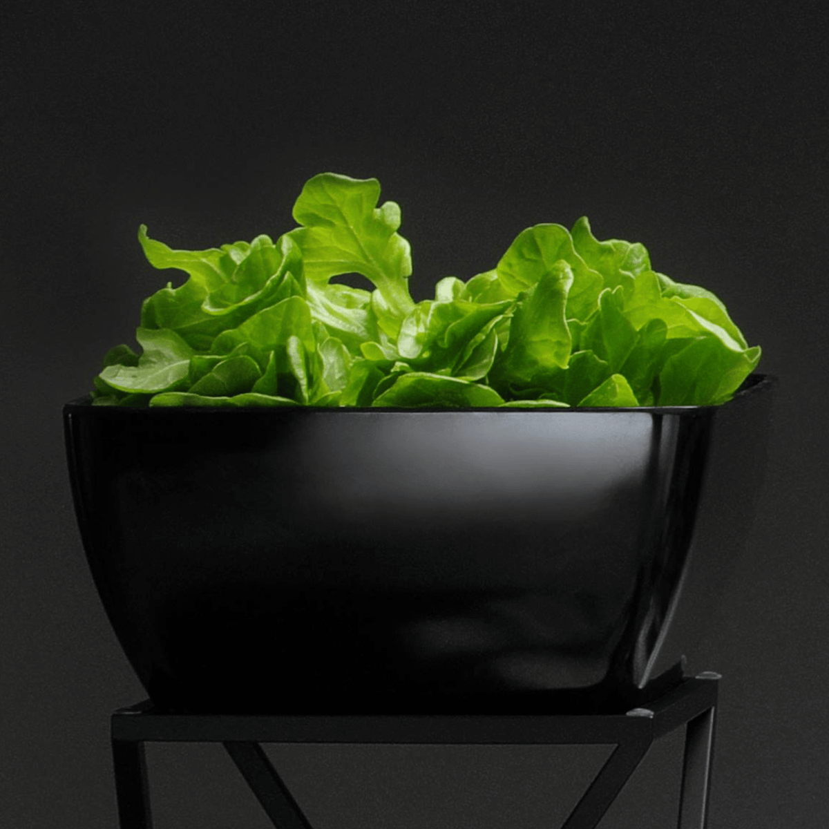 Metro melamine square bowl