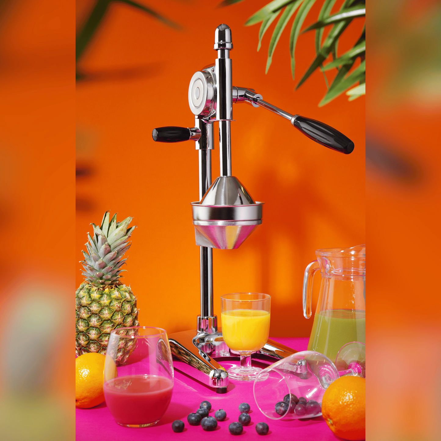 Citrus Juicer, 180x225x(h)510mm