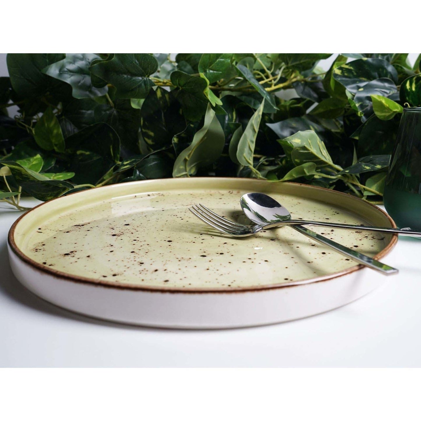 Fine Dine high edge plate