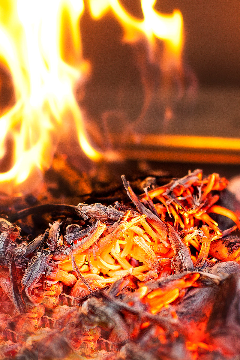 Josper Vine shoots SDV, Ribera del Duero — burning embers