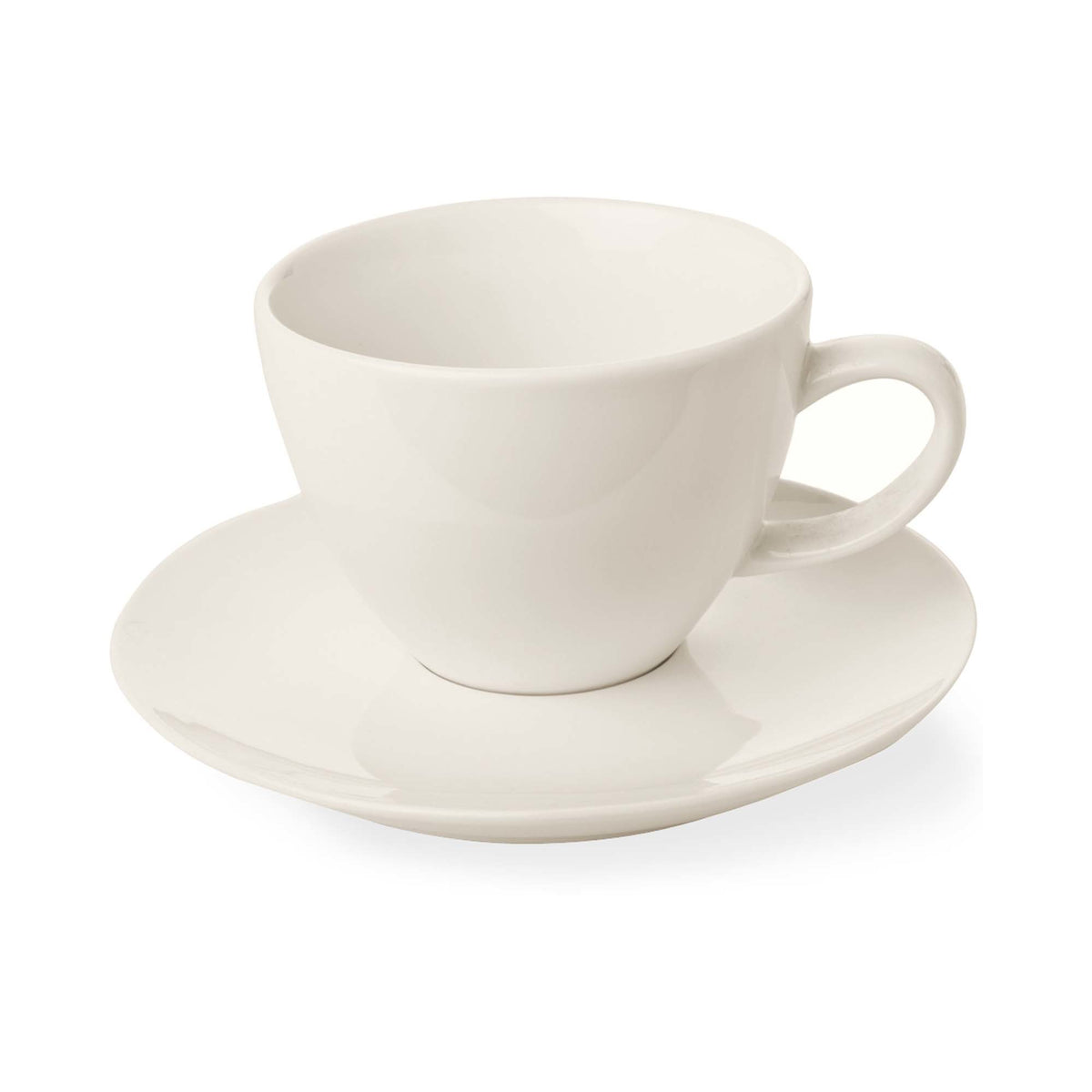 Fine Dine elegant cup with saucer