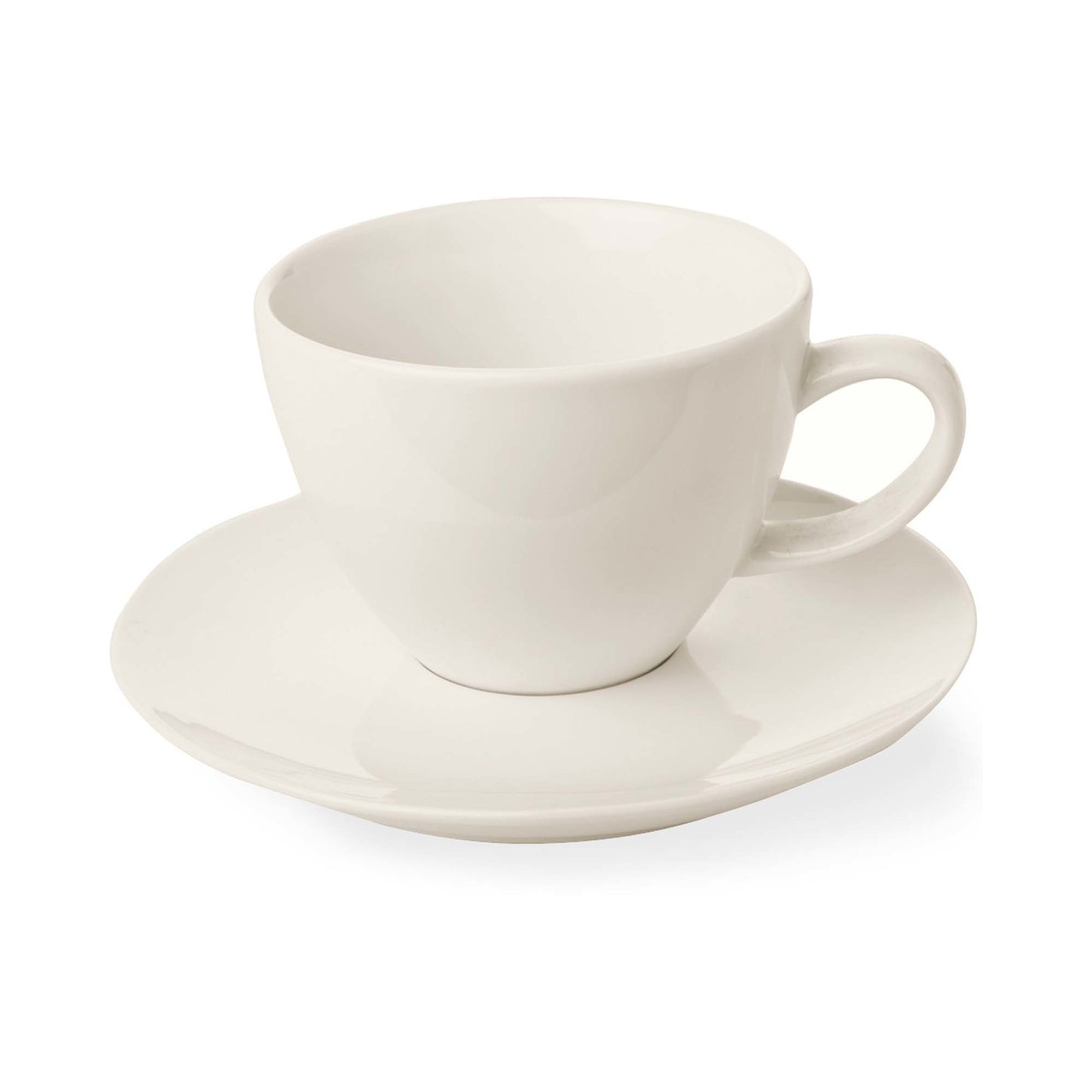 Fine Dine elegant cup with saucer