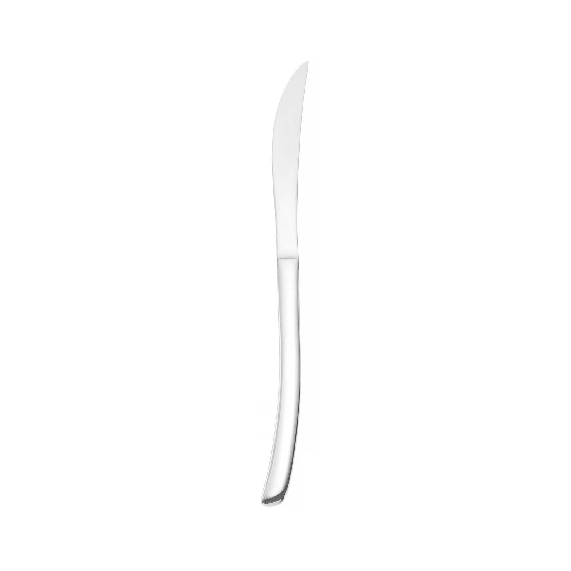 Torino Dinner spoon