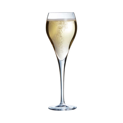 Brio Flute champagne glass, 160ml